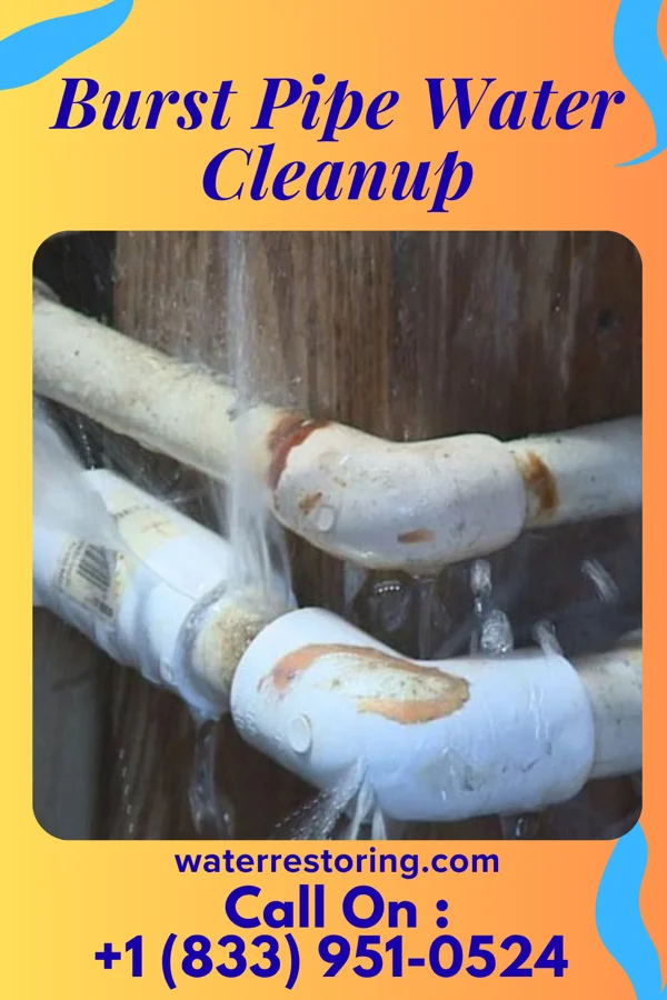 Burst Pipe Water Cleanup in Ocean Isle Beach, NC