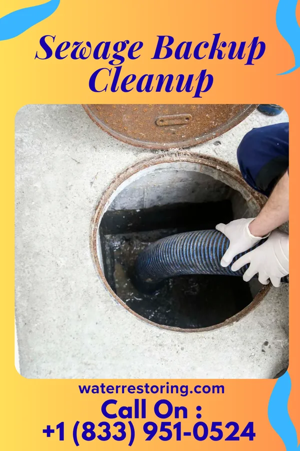 Sewage Backup Cleanup in Ocean Isle Beach, NC
