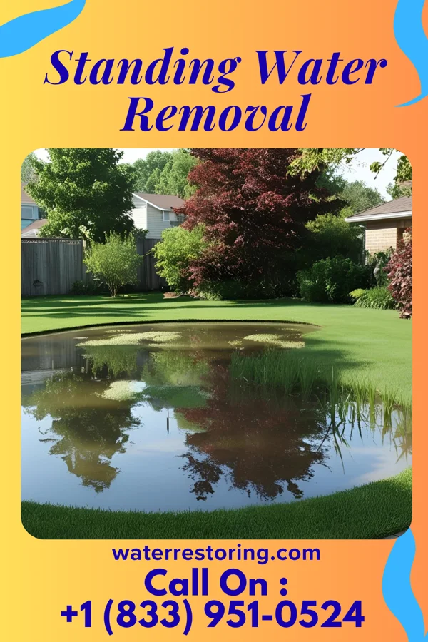 Standing Water Removal in Ocean Isle Beach, NC